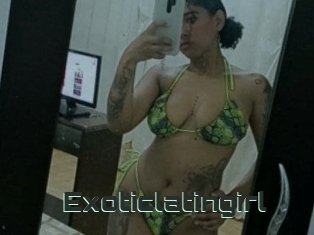 Exoticlatingirl