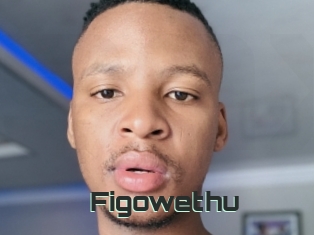 Figowethu