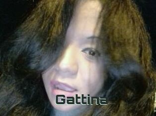 Gattina