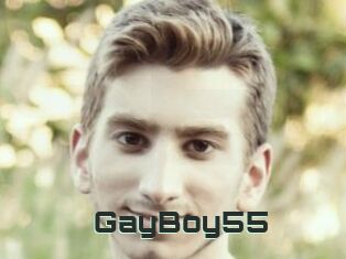 GayBoy55