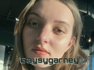 Gaysygarney