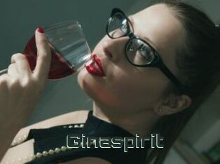 Ginaspirit