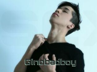 Ginobadboy