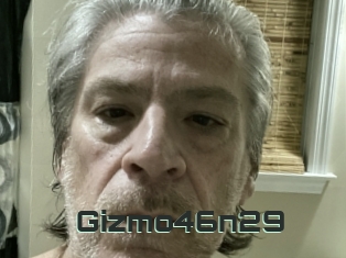 Gizmo46n29