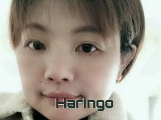 Haringo