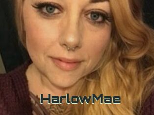 HarlowMae