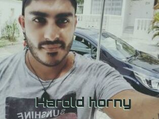 Harold_horny