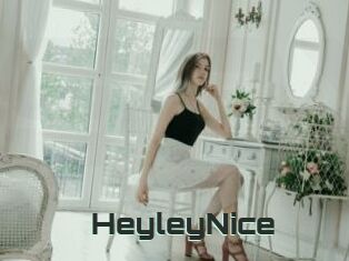 HeyleyNice