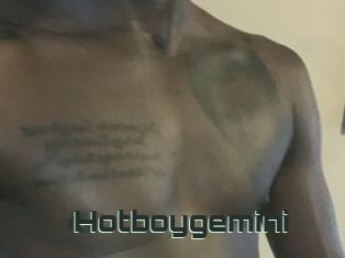 Hotboygemini