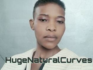 HugeNaturalCurves