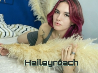 Haileyroach