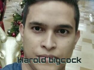 Harold_bigcock