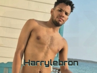 Harrylebron