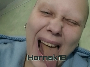 Hornak18