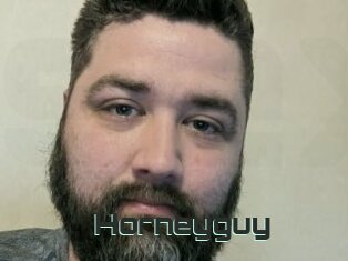 Horneyguy