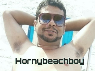 Hornybeachboy