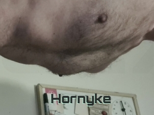 Hornyke