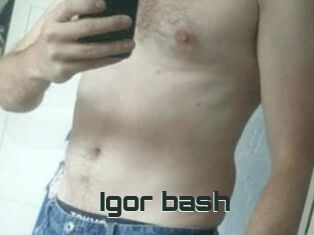 Igor_bash