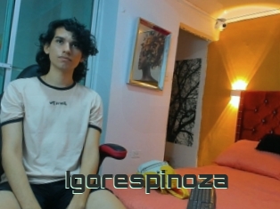 Igorespinoza