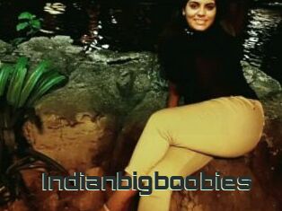 Indianbigboobies