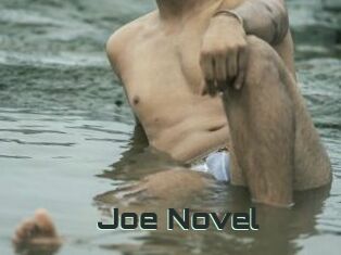 Joe_Novel