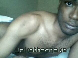 Jake_tha_snake