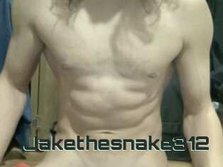 Jakethesnake312