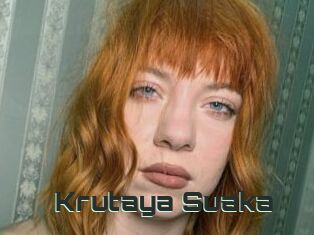 Krutaya_Suaka