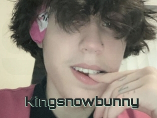 Kingsnowbunny