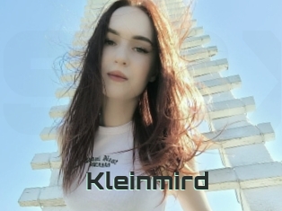 Kleinmird