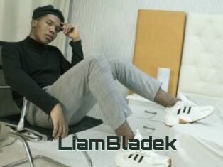 LiamBladek