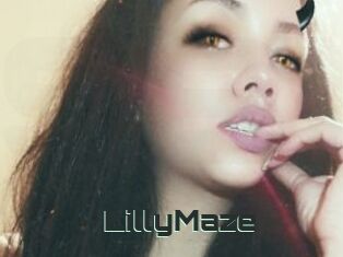 LillyMaze