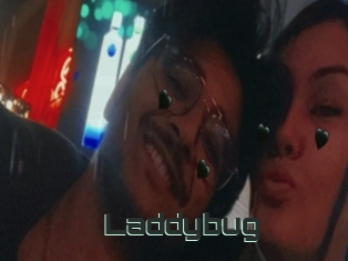 Laddybug