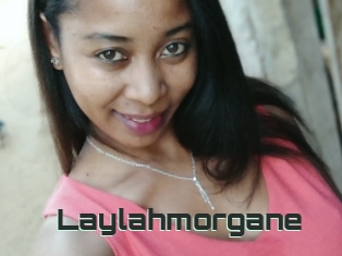 Laylahmorgane