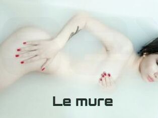 Le_mure