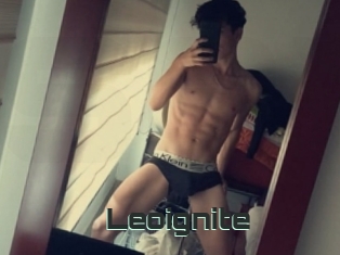 Leoignite