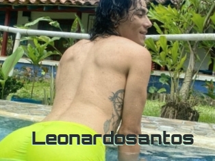 Leonardosantos