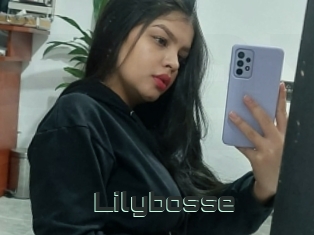 Lilybosse