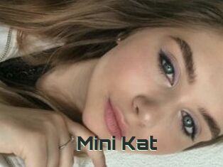 Mini_Kat