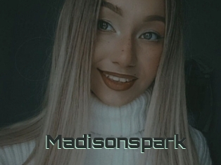 Madisonspark