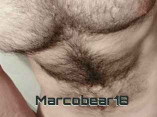 Marcobear18