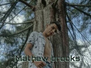 Mathew_brooks