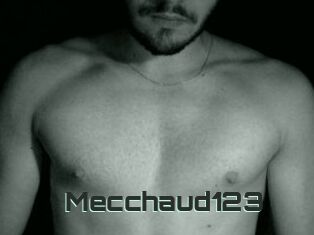 Mecchaud123