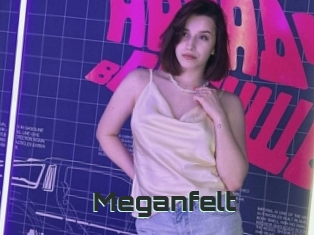 Meganfelt