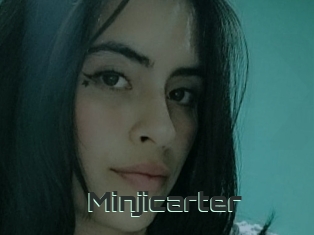 Minjicarter