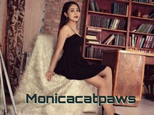 Monicacatpaws