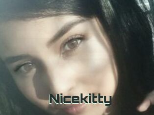 Nicekitty