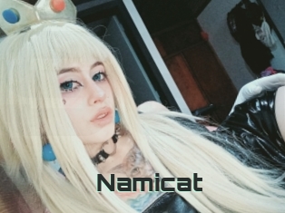 Namicat