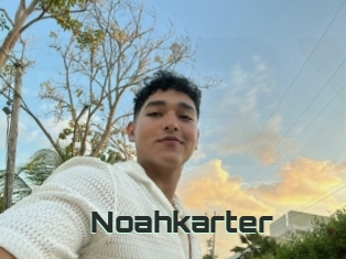 Noahkarter