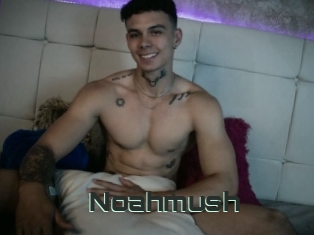 Noahmush